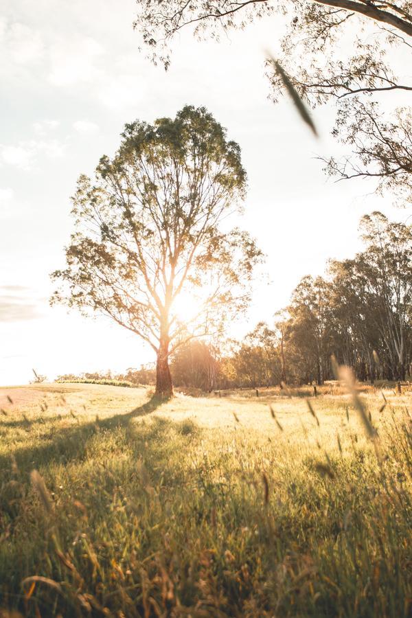 Hotel The Mitchelton - Mgallery By Sofitel 4*