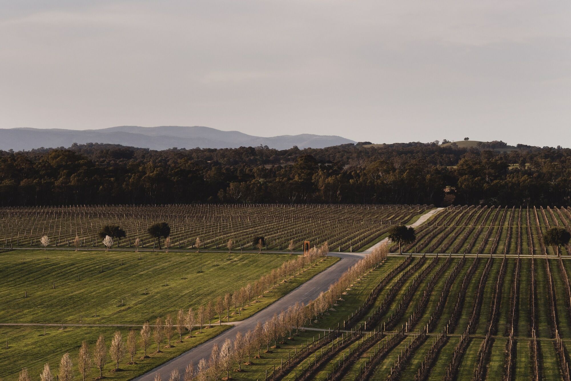 The Mitchelton - Mgallery By Sofitel Hotel 4*