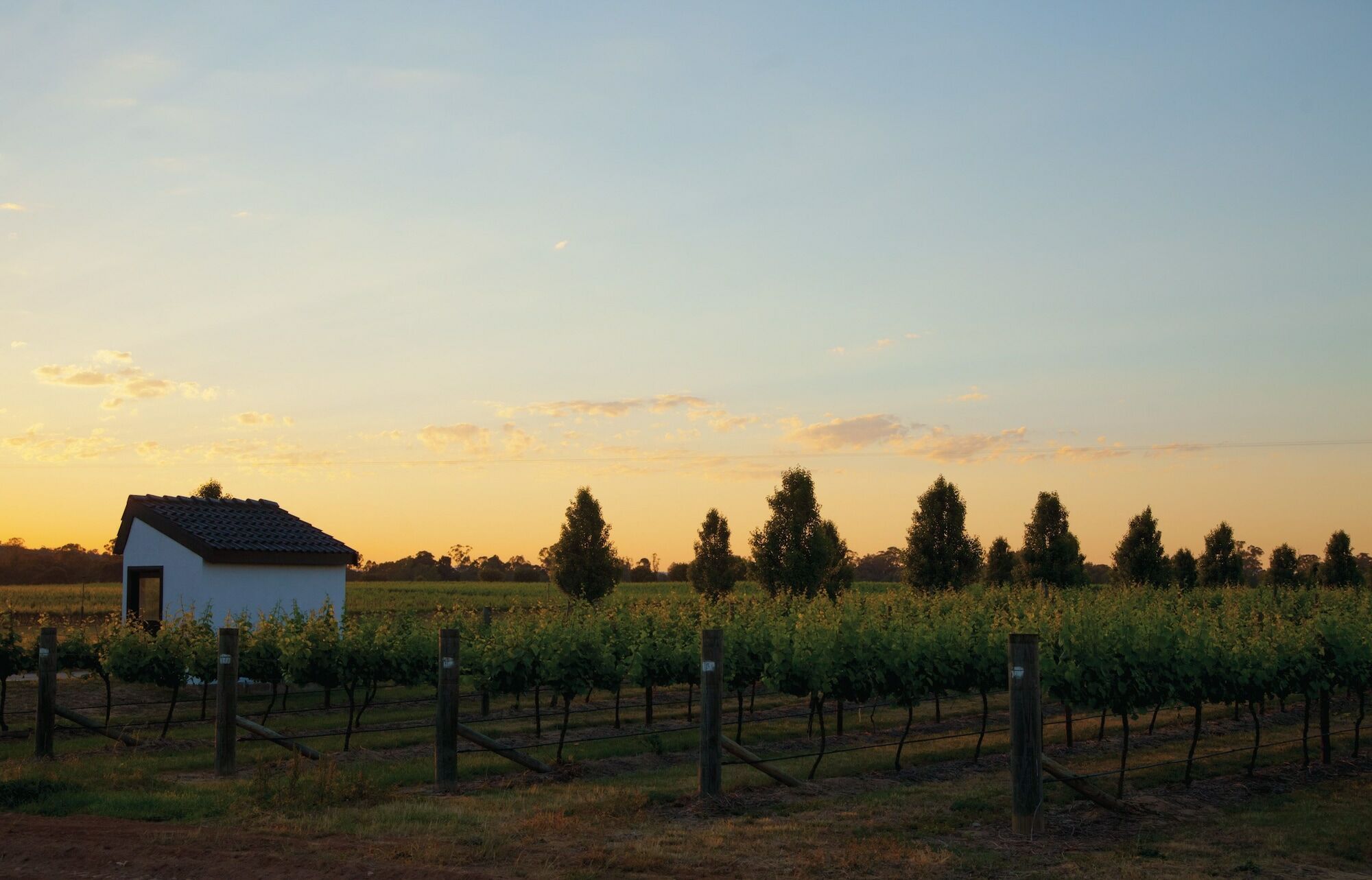 The Mitchelton - Mgallery By Sofitel 4* Nagambie